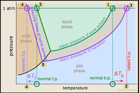 Demonstrates the difference in vapor pressures and resulting phase change temperature changes between a pure solvent and a solution.