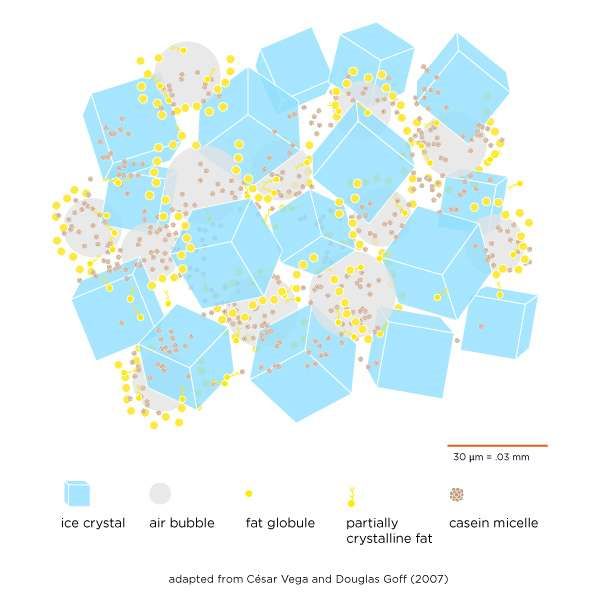 A closer look at ice cream, at the molecular level.